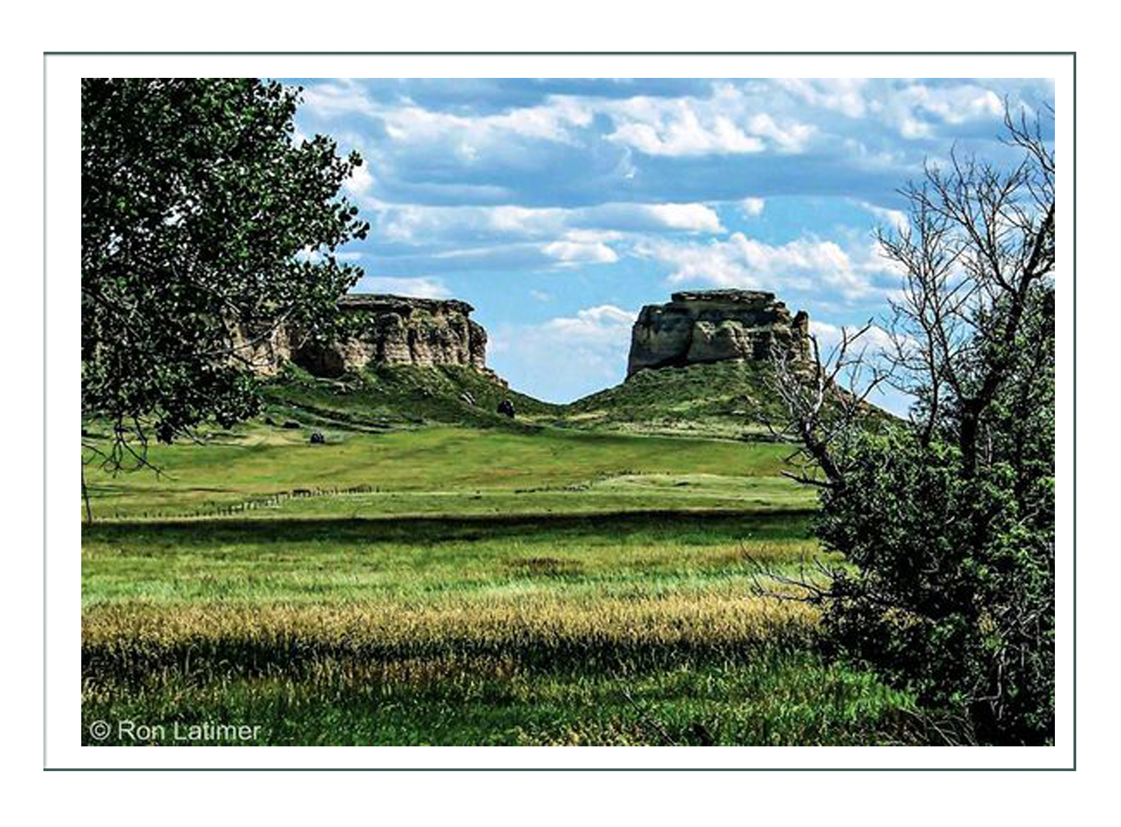 Mary Colling, 1887 Homesteader Historical Context